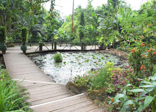 Garden of the Sleeping Giants