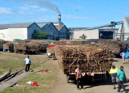 Lautoka City Shopping